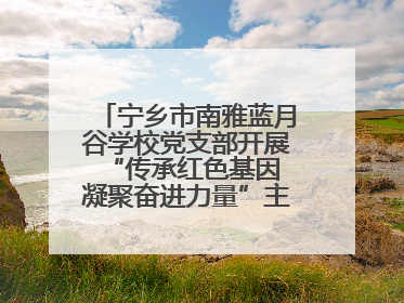宁乡市南雅蓝月谷学校党支部开展“传承红色基因 凝聚奋进力量”主题党日活动