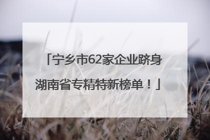 宁乡市62家企业跻身湖南省专精特新榜单！