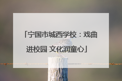 宁国市城西学校：戏曲进校园 文化润童心