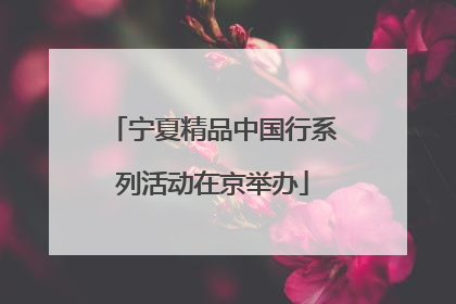 宁夏精品中国行系列活动在京举办