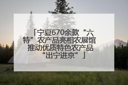 宁夏670余款“六特”农产品亮相农展馆 推动优质特色农产品“出宁进京”
