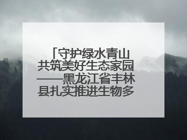 守护绿水青山 共筑美好生态家园——黑龙江省丰林县扎实推进生物多样性保护工作