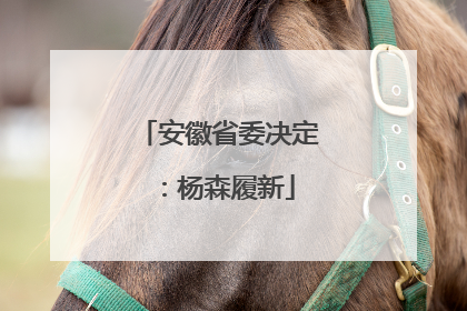 安徽省委决定：杨森履新