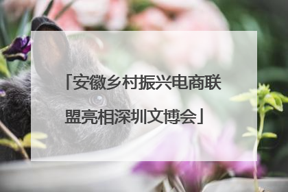 安徽乡村振兴电商联盟亮相深圳文博会
