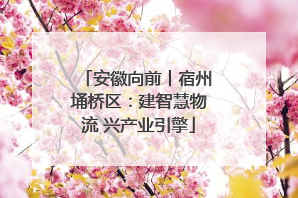 安徽向前丨宿州埇桥区：建智慧物流 兴产业引擎