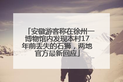 安徽游客称在徐州一博物馆内发现本村17年前丢失的石狮，两地官方最新回应