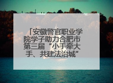 安徽警官职业学院学子助力合肥市第三届“小手牵大手、共建法治城”公益普法活动