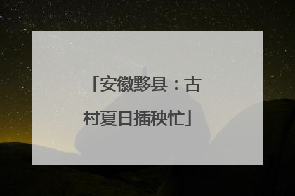 安徽黟县：古村夏日插秧忙