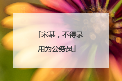 宋某，不得录用为公务员