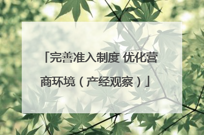 完善准入制度 优化营商环境（产经观察）