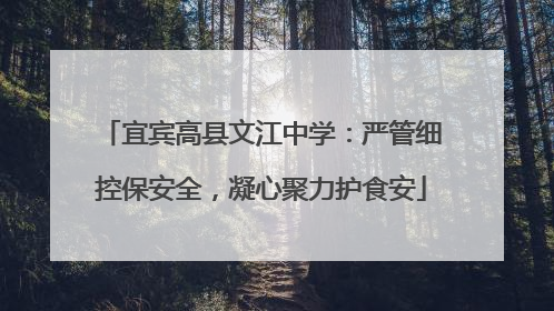 宜宾高县文江中学：严管细控保安全，凝心聚力护食安