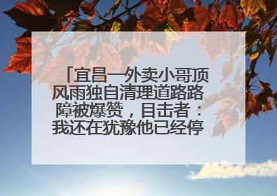 宜昌一外卖小哥顶风雨独自清理道路路障被爆赞，目击者：我还在犹豫他已经停车清障了