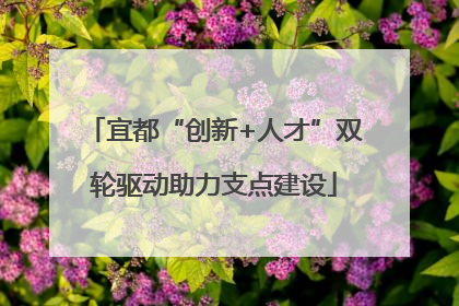 宜都“创新+人才”双轮驱动助力支点建设