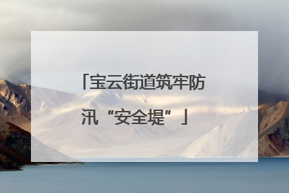 宝云街道筑牢防汛“安全堤”