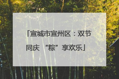 宣城市宣州区：双节同庆 “粽”享欢乐