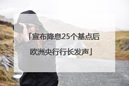 宣布降息25个基点后 欧洲央行行长发声