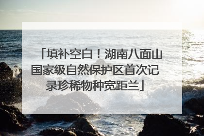 填补空白！湖南八面山国家级自然保护区首次记录珍稀物种宽距兰