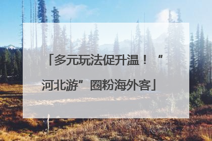 多元玩法促升温！“河北游”圈粉海外客