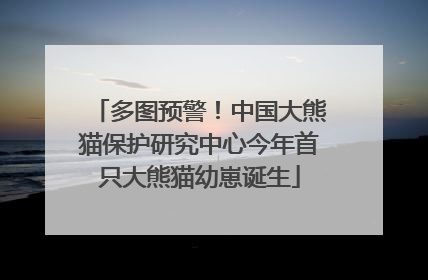 多图预警！中国大熊猫保护研究中心今年首只大熊猫幼崽诞生