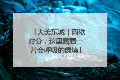 大美东城｜雨歇时分，这里藏着一片会呼吸的绿境