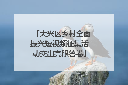 大兴区乡村全面振兴短视频征集活动交出亮眼答卷