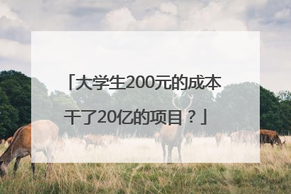 大学生200元的成本干了20亿的项目？