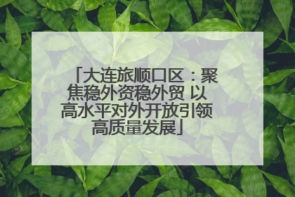 大连旅顺口区：聚焦稳外资稳外贸 以高水平对外开放引领高质量发展