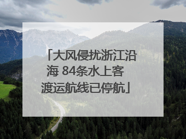 大风侵扰浙江沿海 84条水上客渡运航线已停航