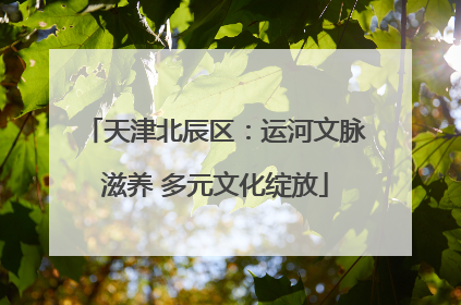 天津北辰区：运河文脉滋养 多元文化绽放