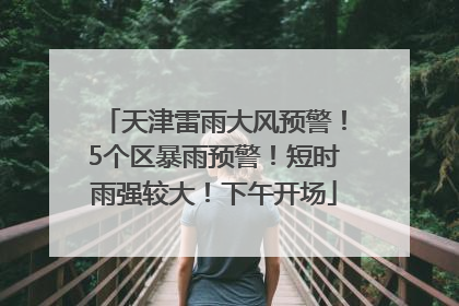 天津雷雨大风预警！5个区暴雨预警！短时雨强较大！下午开场
