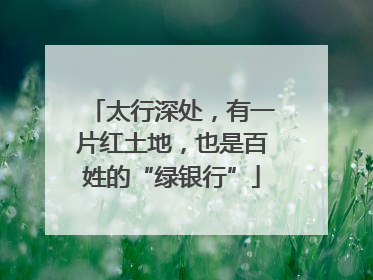 太行深处，有一片红土地，也是百姓的“绿银行”
