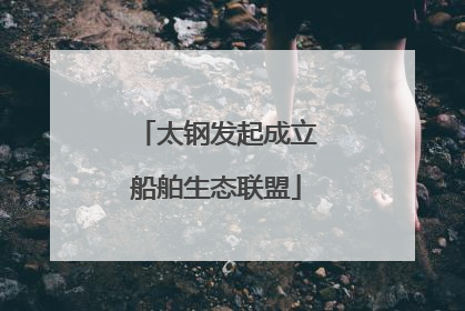 太钢发起成立船舶生态联盟