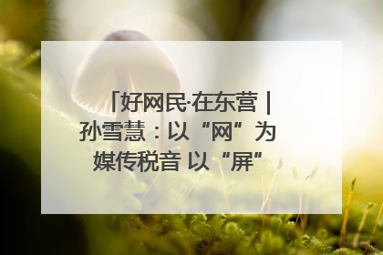 好网民·在东营｜孙雪慧：以“网”为媒传税音 以“屏”为介助发展