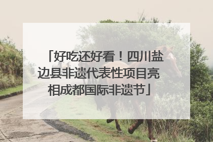 好吃还好看！四川盐边县非遗代表性项目亮相成都国际非遗节