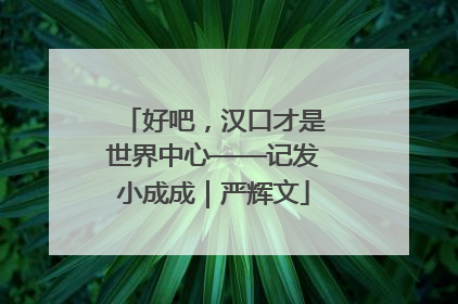 好吧，汉口才是世界中心——记发小成成｜严辉文