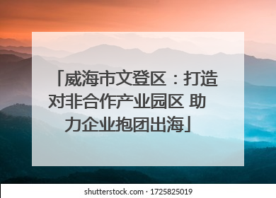 威海市文登区：打造对非合作产业园区 助力企业抱团出海