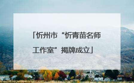 忻州市“忻青苗名师工作室”揭牌成立