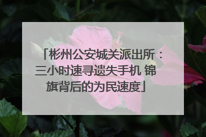 彬州公安城关派出所：三小时速寻遗失手机 锦旗背后的为民速度