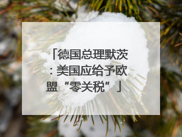 德国总理默茨：美国应给予欧盟“零关税”