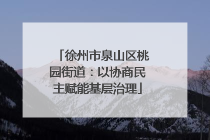 徐州市泉山区桃园街道：以协商民主赋能基层治理