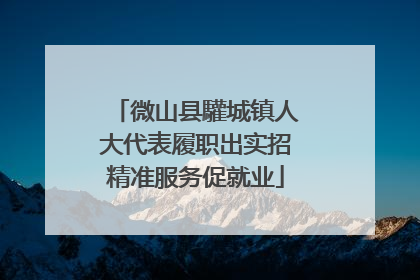 微山县驩城镇人大代表履职出实招精准服务促就业
