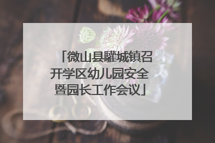 微山县驩城镇召开学区幼儿园安全暨园长工作会议