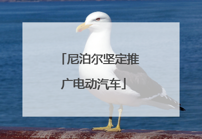 尼泊尔坚定推广电动汽车