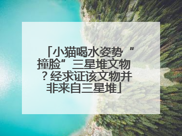 小猫喝水姿势“撞脸”三星堆文物？经求证该文物并非来自三星堆