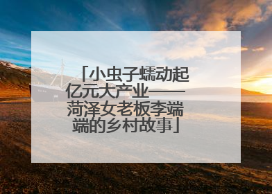 小虫子蠕动起亿元大产业——菏泽女老板李端端的乡村故事