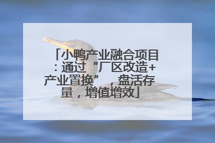 小鸭产业融合项目：通过“厂区改造+产业置换”，盘活存量，增值增效