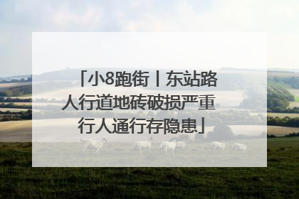 小8跑街丨东站路人行道地砖破损严重 行人通行存隐患