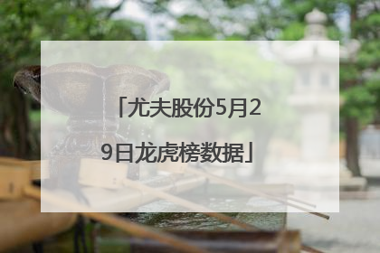 尤夫股份5月29日龙虎榜数据