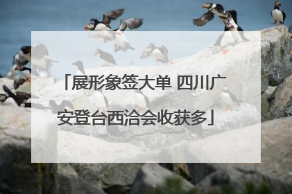 展形象签大单 四川广安登台西洽会收获多