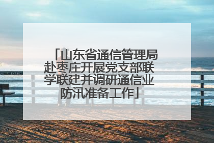 山东省通信管理局赴枣庄开展党支部联学联建并调研通信业防汛准备工作